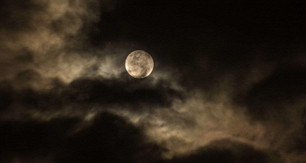 月夜の写真