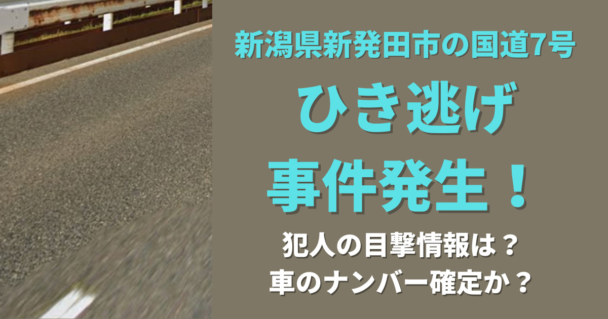 新潟県ひき逃げ事件のアイキャッチ画像